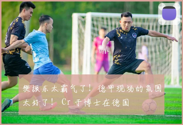 樊振东太霸气了!德甲现场的氛围太好了! Cr 于博士在德国