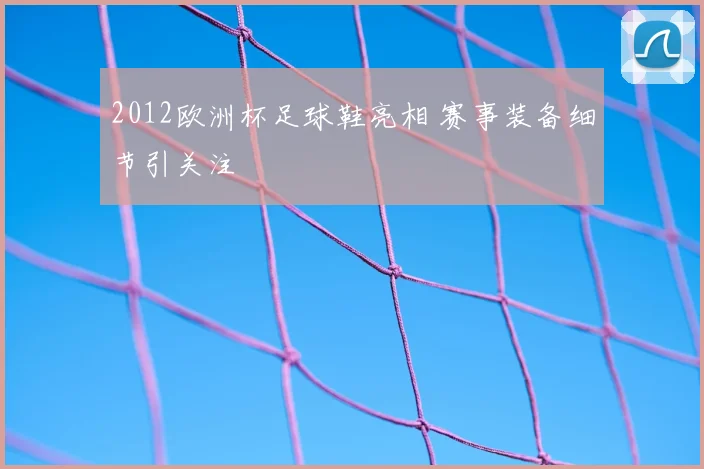 2012欧洲杯足球鞋亮相 赛事装备细节引关注