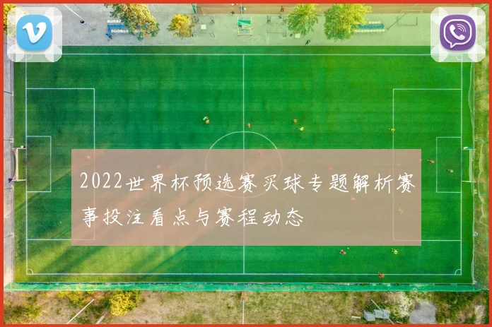 2022世界杯预选赛买球专题解析赛事投注看点与赛程动态
