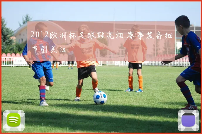 2012欧洲杯足球鞋亮相 赛事装备细节引关注