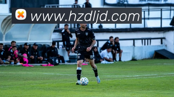 yy易游官网入口平台生态图